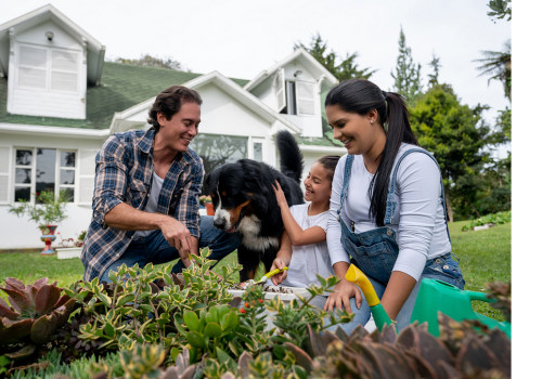 Pet-Friendly Gardens - Creating a Safe Haven for Your Furry Friends
