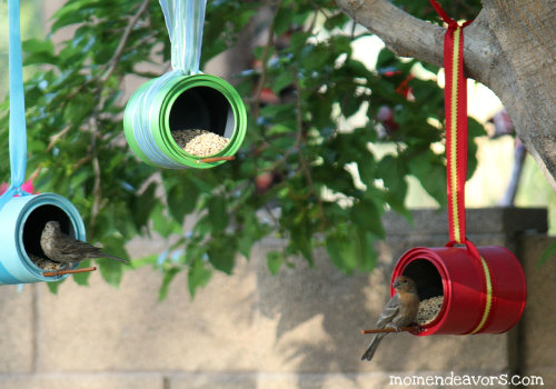 Crafting DIY Bird Feeders for Your Garden